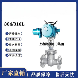 Z941W-16P，DN250，CF8/F304不銹鋼電動(dòng)閘閥